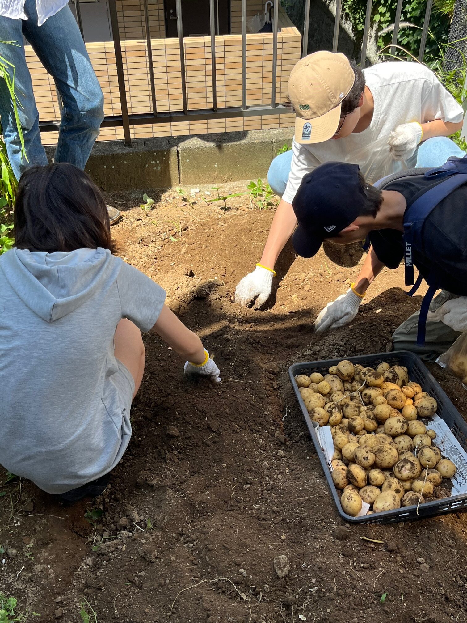 払方町ファーム